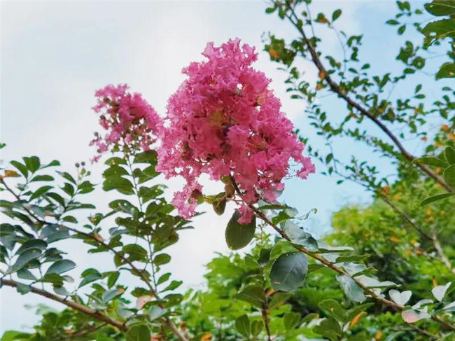 呼吸鮮氧，踐行公益&mdash;&mdash;廣東博皓公益活動(dòng)：星溪線公益環(huán)保活動(dòng)   -5