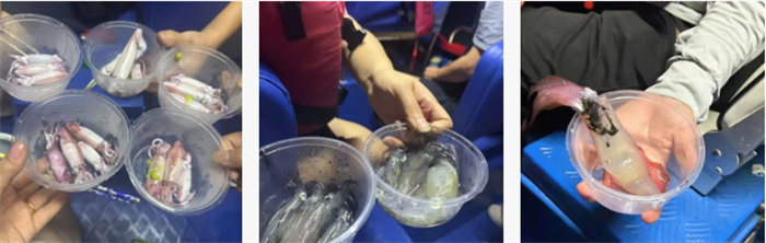 攜手博皓逐夢行，巽寮灣上展豪情&mdash;廣東博皓2025年巽寮灣之旅    -10